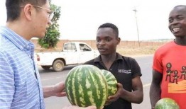 吃瓜黑料精品一区 吃瓜群众在七零,吃瓜群众揭秘吃瓜黑料精品一区风云录