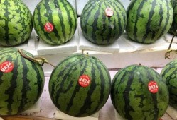 吃瓜黑料精品一区 吃瓜群众在七零,吃瓜群众揭秘吃瓜黑料精品一区风云录